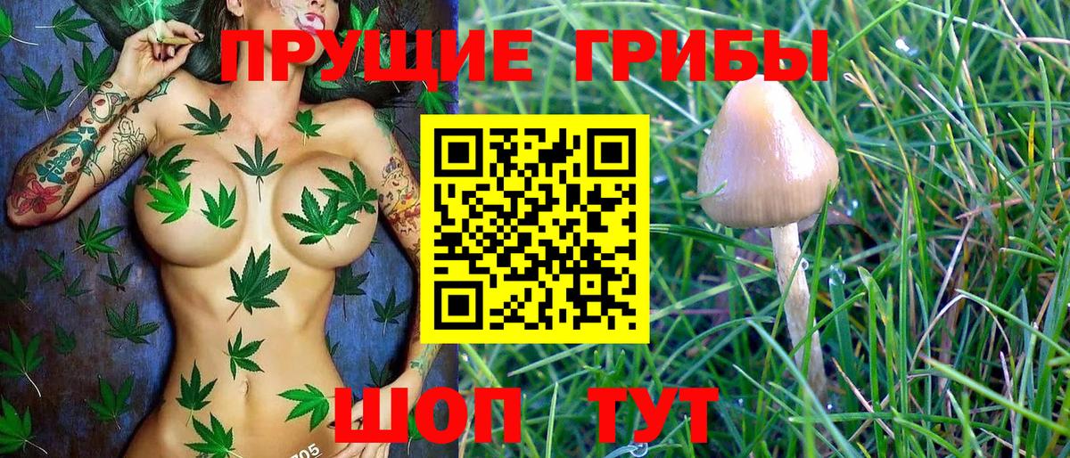 Галлюциногенные грибы ЛСД  Батайск 
