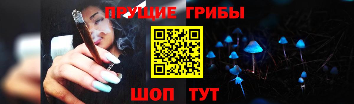 Батайск  Псилоцибиновые грибы Psilocybe  Вход с VPN  Галлюциногенные грибы мицелий 